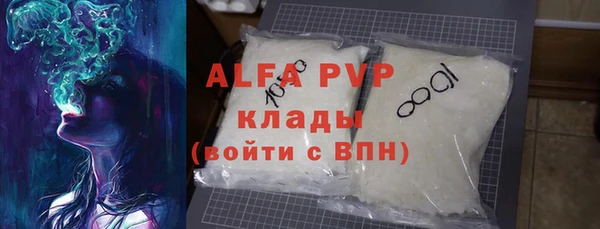 стафф Алексин