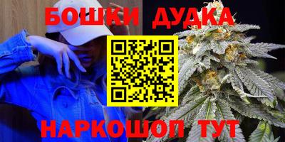 индика Нарткала