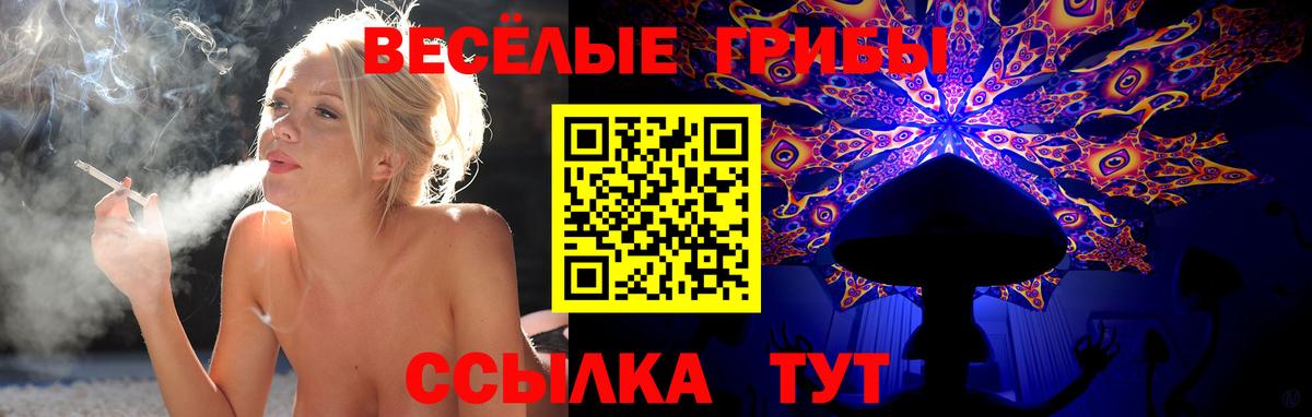 Галлюциногенные грибы прущие грибы Шатура